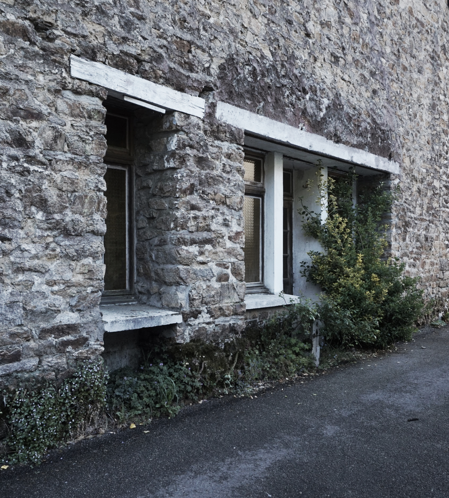 C2101_PHOTO SITE 30