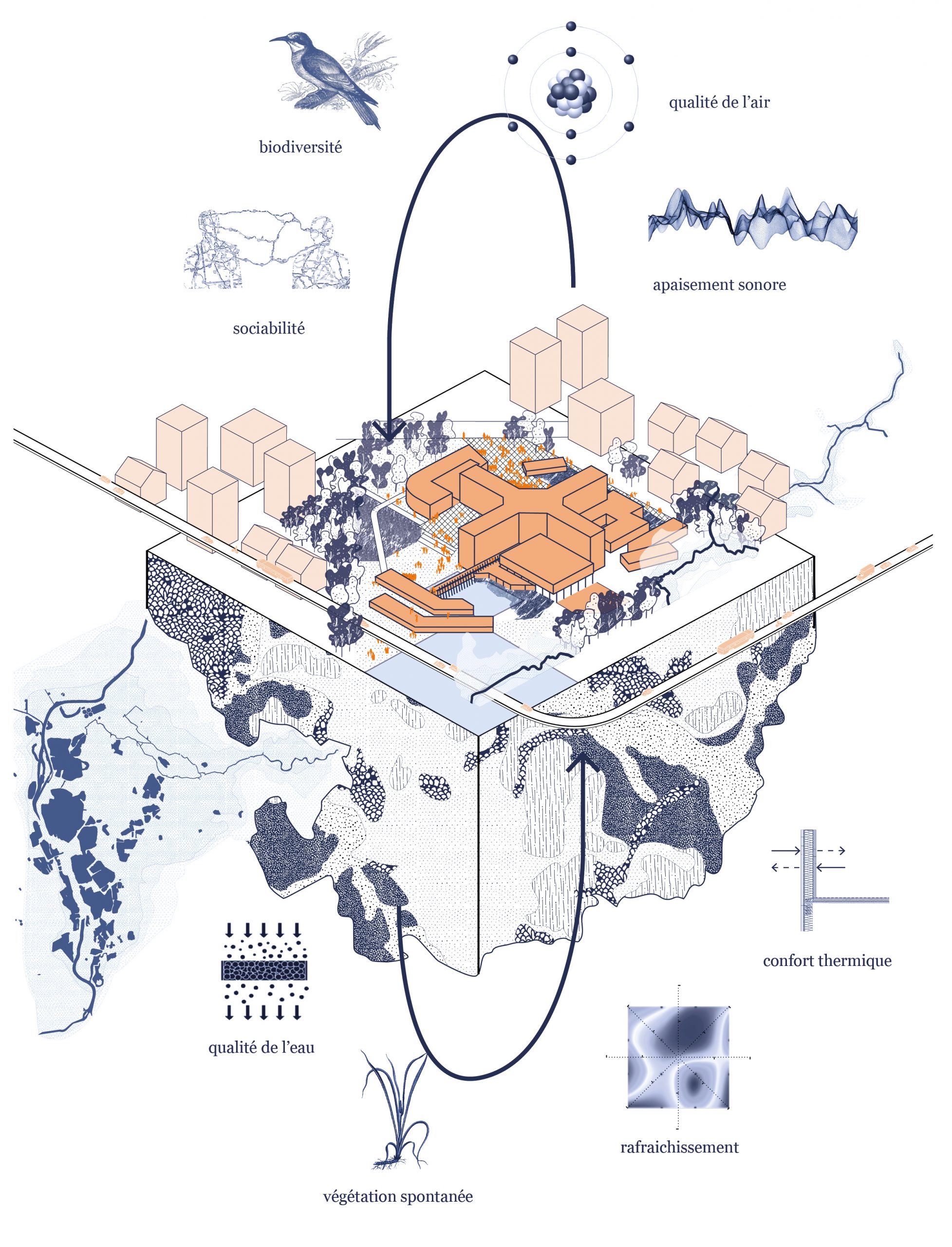 C2301_E17_SCHEMA PROCESSUS